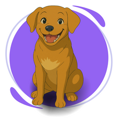 icon-category