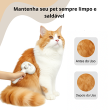 Carregar imagem no visualizador da galeria, Removedor de pelos 3 em 1
